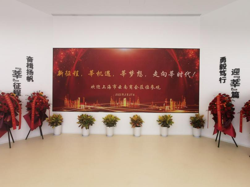 三思,智慧顯示,助力臨港,莘?？萍紙@,人才體系建設(shè)